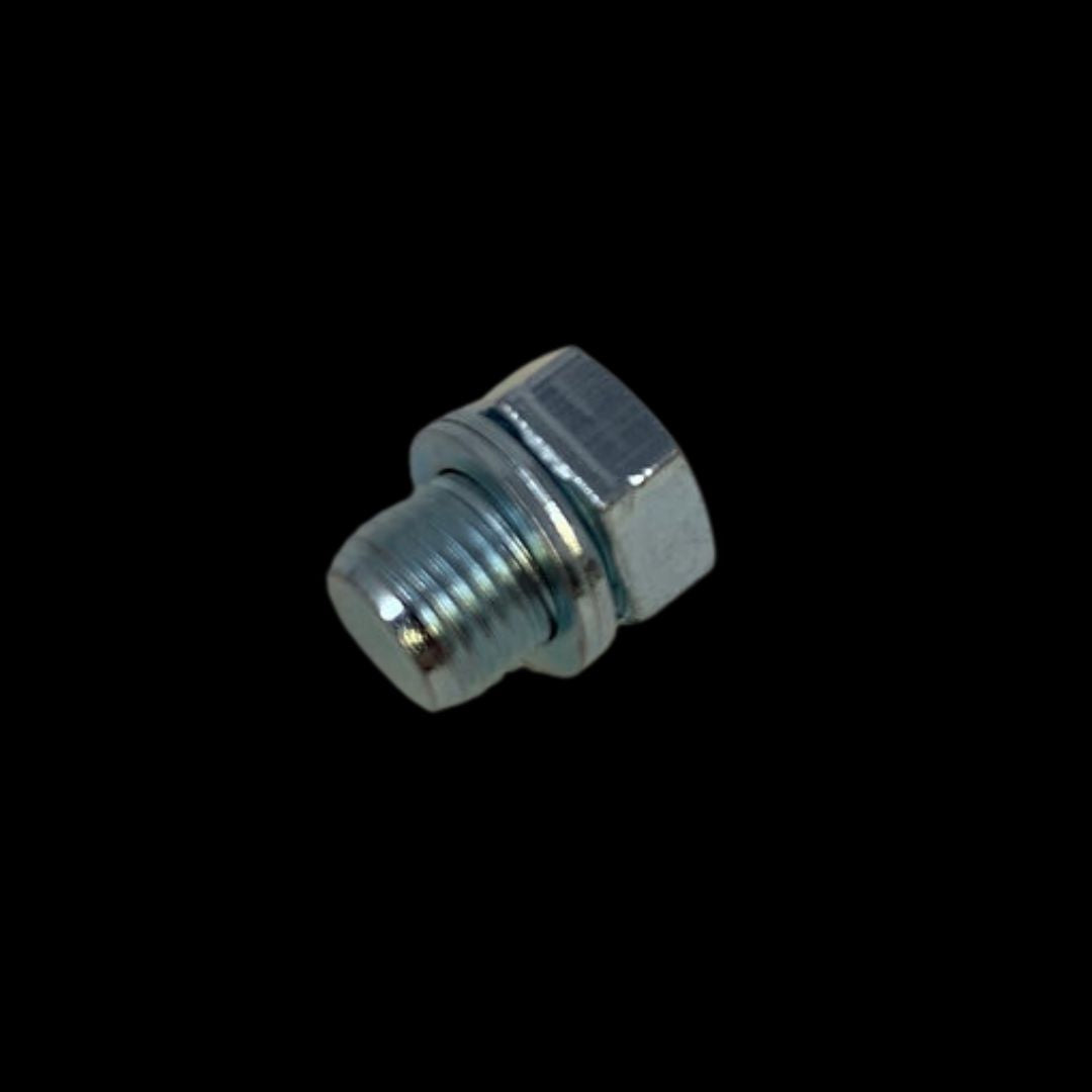 TAYLOR BIG BLOCK Decomp Blanking Plug
