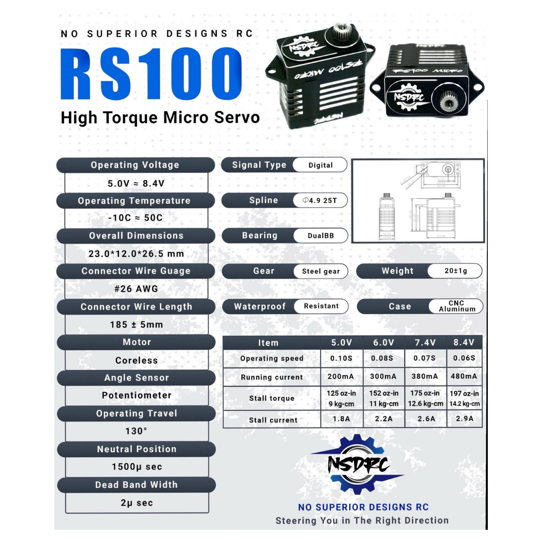 RS100 High Torque Micro Servo