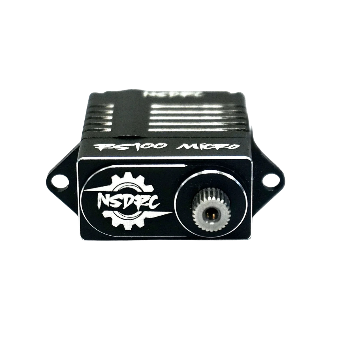 RS100 High Torque Micro Servo