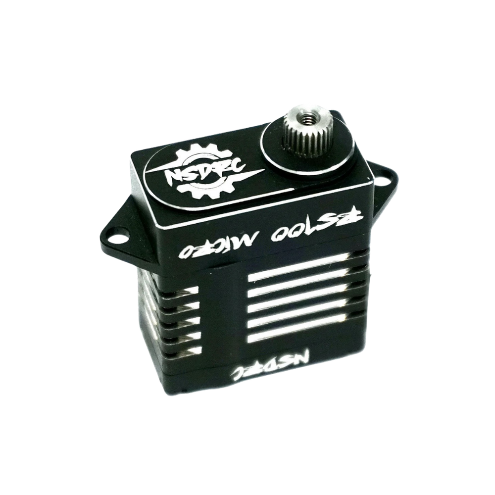 RS100 High Torque Micro Servo