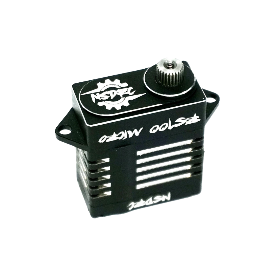 RS100 High Torque Micro Servo