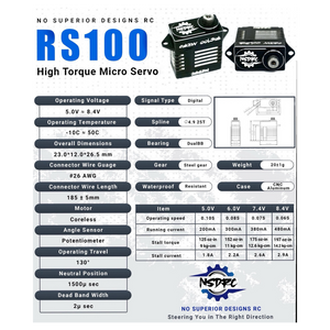 RS100 High Torque Micro Servo