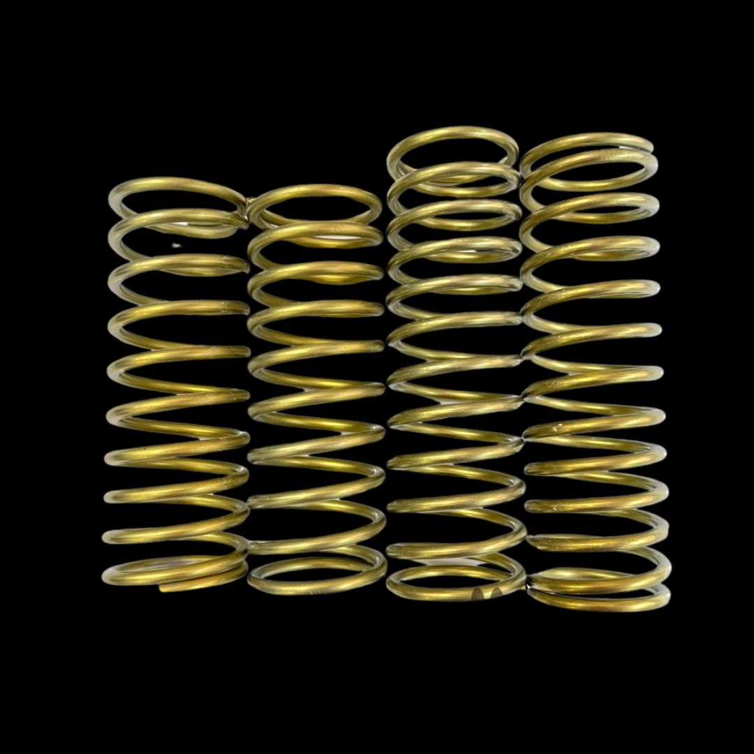 TZZ LOSI 5T/2.0/TLR 5B TZZ Titanium alloy Front Shock Springs (2set)