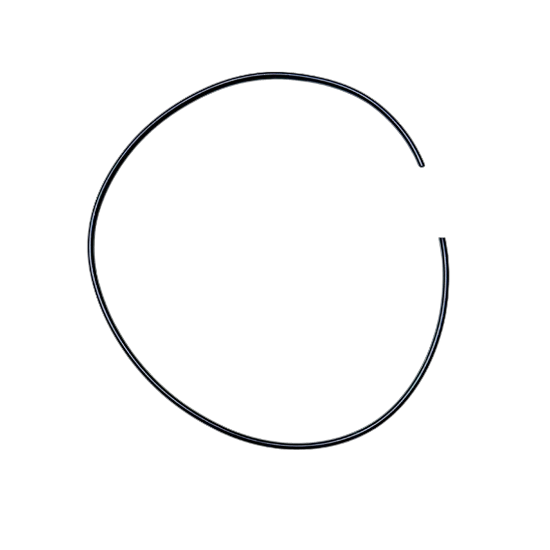 ALX crank case O-ring, black rubber sealing ring shown flat