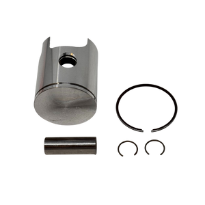 Mechanical components including a piston, rings, and a cylinder on a white background