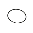 Black piston ring on a white background