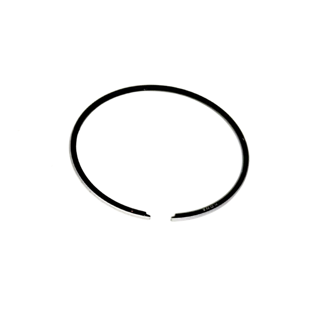 Black piston ring on a white background