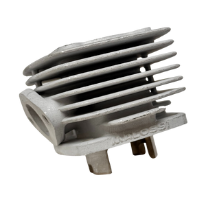 Metallic engine part with 'Malossi' branding on a white background