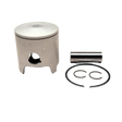 Piston and related parts on a white background