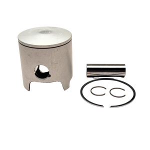 Piston and related parts on a white background