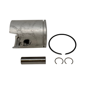 Piston and piston rings on a white background