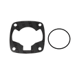 Black gasket and O-ring on a white background