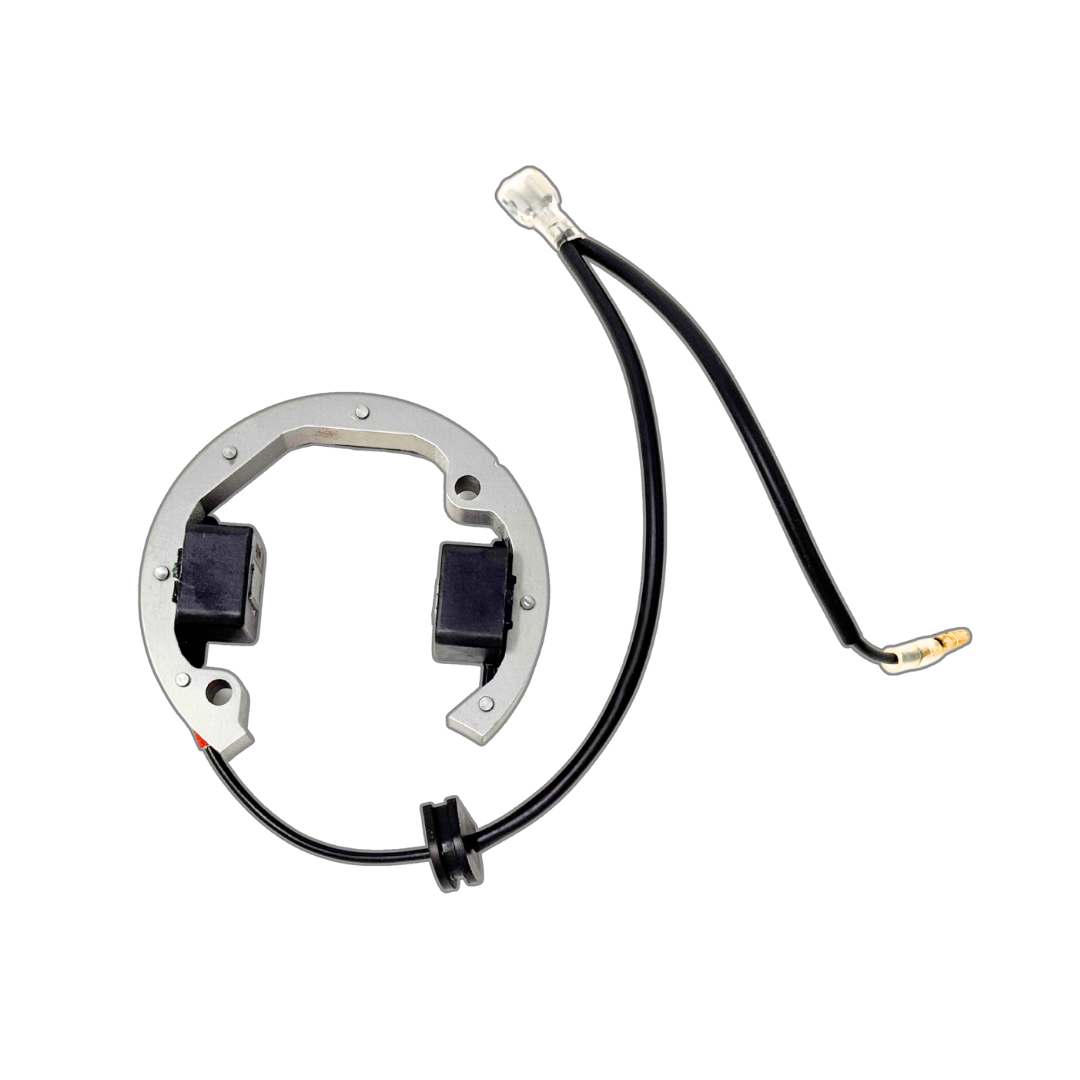 ALX SELETTRA Custom Ignition Stator