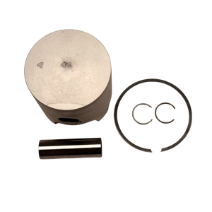 Engine piston set with a ring on a white background