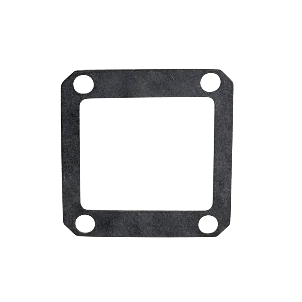 TAYLOR 35 Reed Gasket