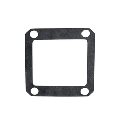 TAYLOR 35 Reed Gasket