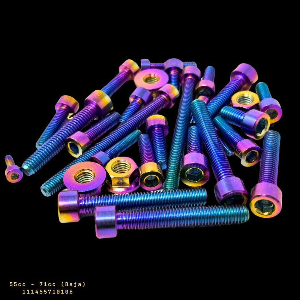 TZZ Taylor 40cc-80cc Engine Titanium alloy Screws Set