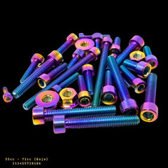 TZZ Taylor 40cc-80cc Engine Titanium alloy Screws Set